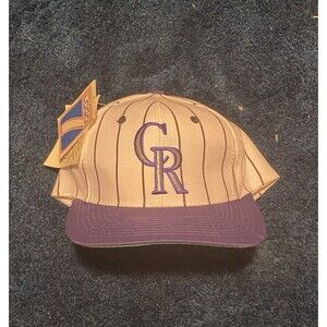 Vintage NWT Colorado Rockies Pinstripe Snapback Hat Logo 7 Cap 90s MLB